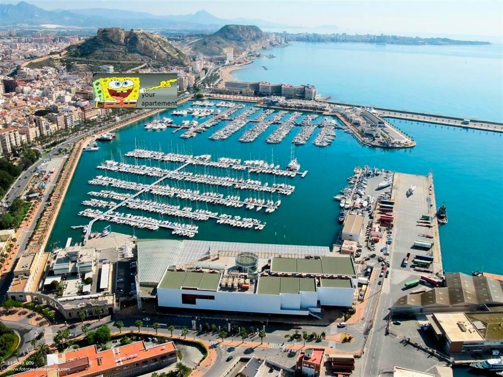 Beach, City Center And Entertainment Alicante Dış mekan fotoğraf